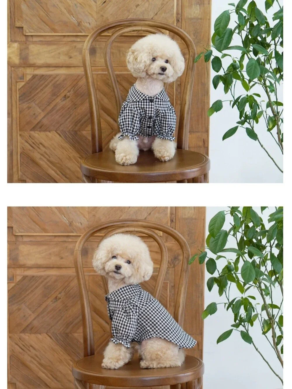 CokeMill Black Checked Dog Blouse